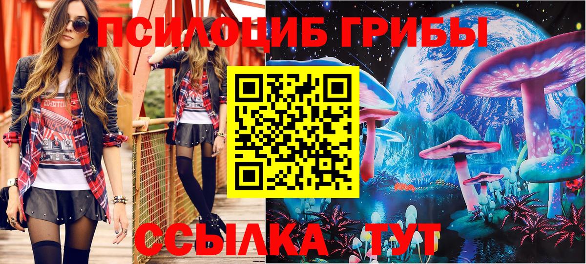 Великие Луки  как найти закладки  Вход с VPN  Галлюциногенные грибы прущие грибы  Псилоцибиновые грибы мицелий 