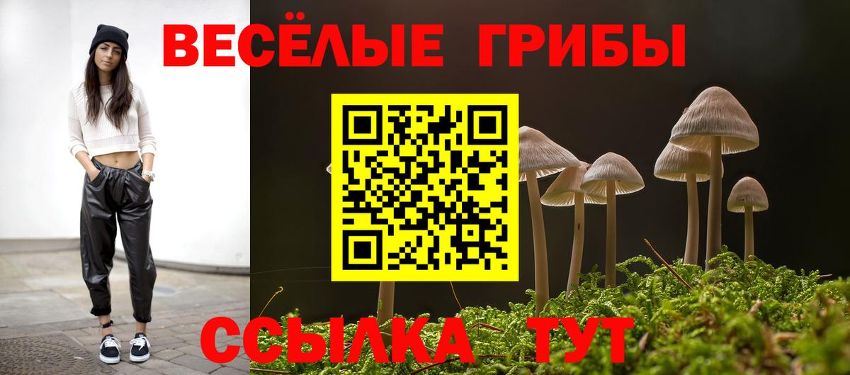 Псилоцибиновые грибы MAGIC MUSHROOMS Великие Луки